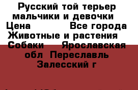 Русский той-терьер мальчики и девочки › Цена ­ 8 000 - Все города Животные и растения » Собаки   . Ярославская обл.,Переславль-Залесский г.
